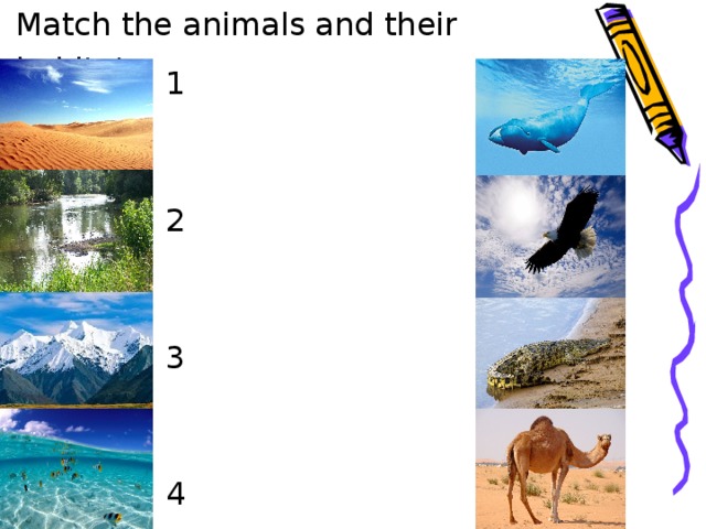 Match the animals and their habitats   1 a  2 b  3 c  4 d
