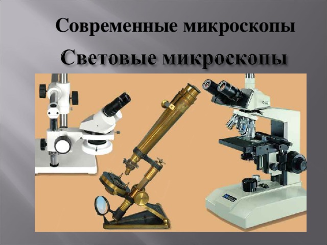 Современные микроскопы
