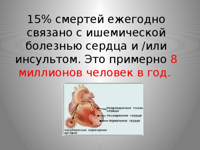 15% смертей ежегодно связано с ишемической болезнью сердца и /или инсультом. Это примерно 8 миллионов человек в год. 