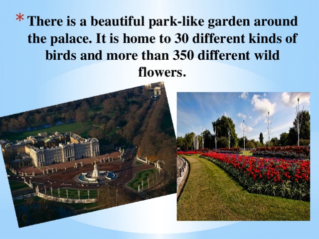 There is a beautiful park-like garden around the palace. It is home to 30 different kinds of birds and more than 350 different wild flowers .