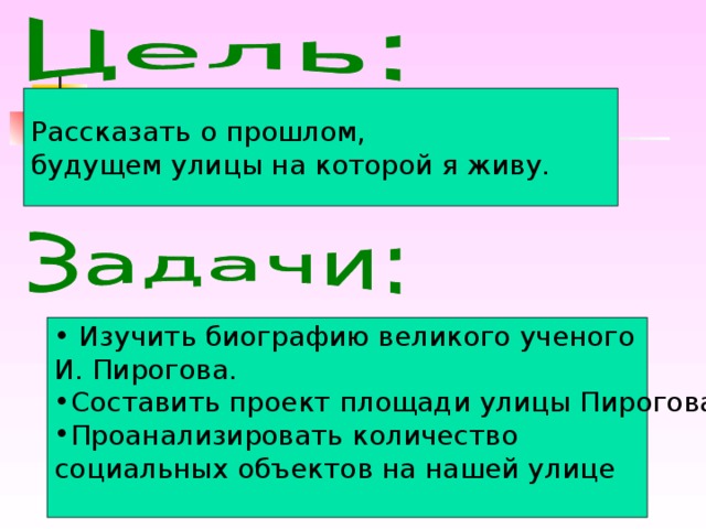 Рассказать о прошлом, будущем улицы на которой я живу.  Изучить биографию великого ученого И. Пирогова. Составить проект площади улицы Пирогова. Проанализировать количество социальных объектов на нашей улице