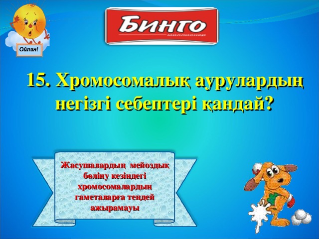 15. Хромосомалық аурулардың негізгі себептері қандай? Жасушалардың мейоздық бөліну кезіндегі хромосомалардың гаметаларға теңдей ажырамауы