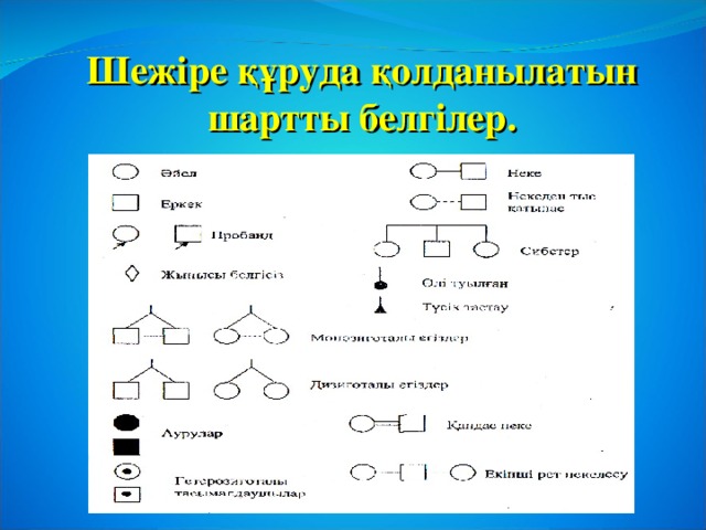 Шежіре құруда қолданылатын шартты белгілер.