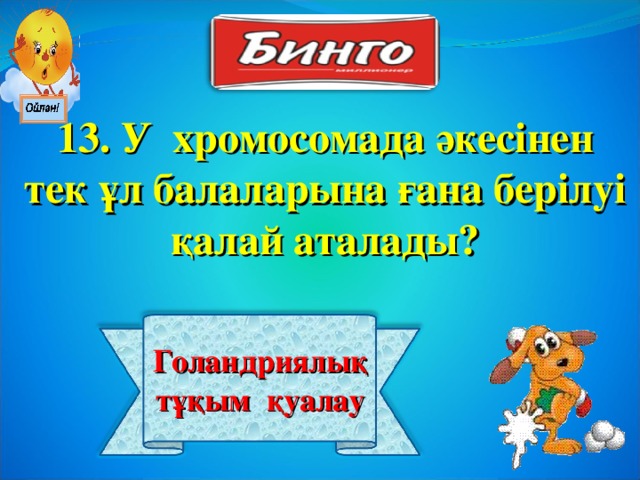 13. У хромосомада әкесінен тек ұл балаларына ғана берілуі қалай аталады? Голандриялық тұқым  қуалау