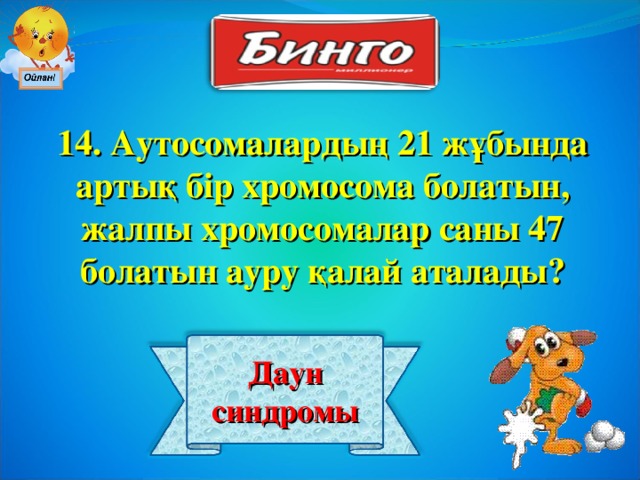 14. Аутосомалардың 21 жұбында артық бір хромосома болатын, жалпы хромосомалар саны 47 болатын ауру қалай аталады? Даун синдромы