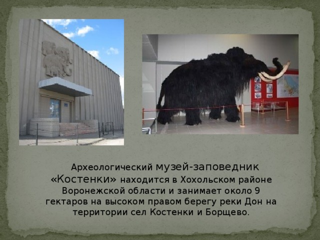    Археологический музей-заповедник «Костенки» находится в Хохольском районе Воронежской области и занимает около 9 гектаров на высоком правом берегу реки Дон на территории сел Костенки и Борщево.
