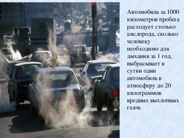 Автомобиль за 1000 километров пробега расходует столько кислорода, сколько человеку необходимо для дыхания за 1 год, выбрасывает в сутки один автомобиль в атмосферу до 20 килограммов вредных выхлопных газов.