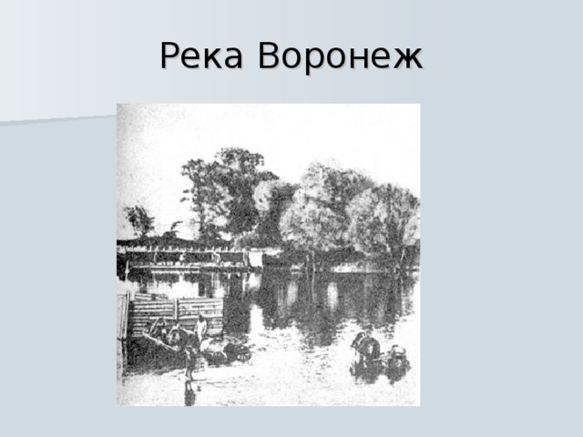 Река Воронеж