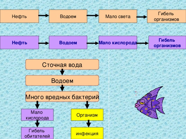 Нефть какое тело. Классификация малых водоемов. Ассимиляции водными организмами нефти. Нефть из организма.