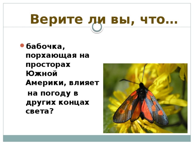 Верите ли вы, что… бабочка, порхающая на просторах Южной Америки, влияет  на погоду в других концах света?