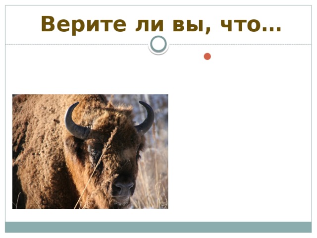 Верите ли вы, что…