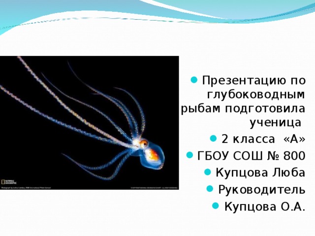 Презентацию по глубоководным рыбам подготовила ученица 2 класса «А» ГБОУ СОШ № 800 Купцова Люба Руководитель Купцова О.А.