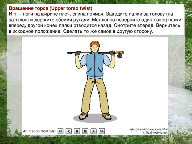 Вращение торса ( Upper torso twist ) И.п. – ноги на ширине плеч, спина прямая. Заведите палки за голову (на затылок) и держите обеими руками. Медленно поверните один конец палки вперед, другой конец палки отводится назад.  Смотрите вперед. Вернитесь в исходное положение. Сделать то же самое в другую сторону.