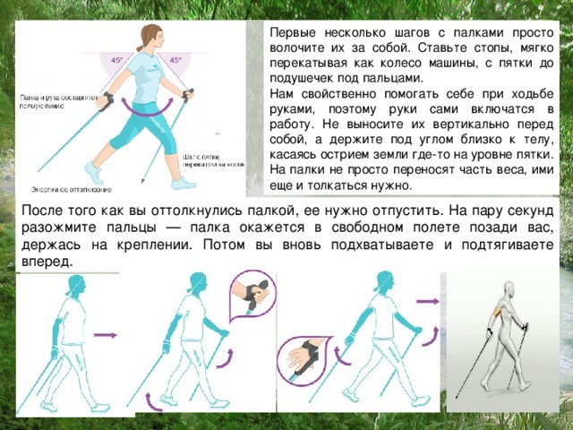 Первые несколько шагов с палками просто волочите их за собой. Ставьте стопы, мягко перекатывая как колесо машины, с пятки до подушечек под пальцами. Нам свойственно помогать себе при ходьбе руками, поэтому руки сами включатся в работу. Не выносите их вертикально перед собой, а держите под углом близко к телу, касаясь острием земли где-то на уровне пятки. На палки не просто переносят часть веса, ими еще и толкаться нужно. После того как вы оттолкнулись палкой, ее нужно отпустить. На пару секунд разожмите пальцы — палка окажется в свободном полете позади вас, держась на креплении. Потом вы вновь подхватываете и подтягиваете вперед.