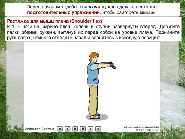 Перед началом ходьбы с палками нужно сделать несколько подготовительных упражнений , чтобы разогреть мышцы. Растяжка для мышц плеча ( Shoulder flex )  И.п. – ноги на ширине плеч, колени и ступни развернуты вперед. Держите палки обеими руками, вытянув их перед собой на уровне плеча. Поднимите руки вверх, немного отведите назад и вернитесь в исходную позицию.