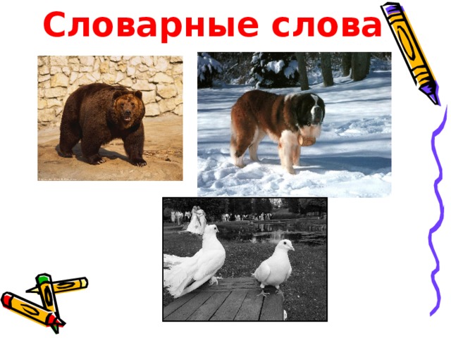 Словарные слова