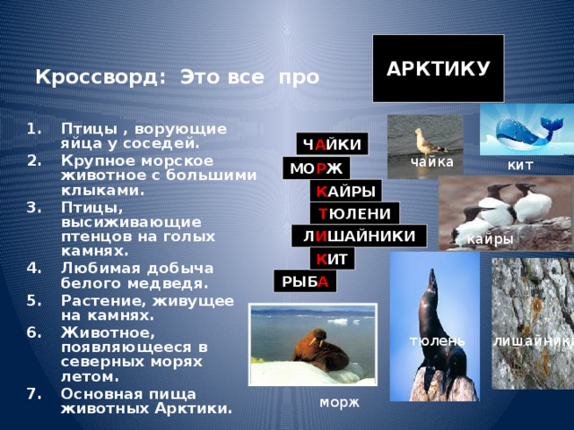 Тест арктические пустыни 4 класс окружающий мир