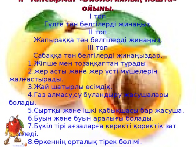 ІІ- тапсырма. «Биологиялық пошта» ойыны. І топ Гүлге тән белгілерді жинаңыз. ІІ топ Жапыраққа тән белгілерді жинаңыз. ІІІ топ Сабаққа тән белгілерді жинаңыздар.  1.Жіпше мен тозаңқаптан тұрады.  2.жер асты және жер үсті мүшелерін жалғастырады.  3.Жай шатырлы өсімдік.  4.Газ алмасу,су буландыру жасушалары болады.  5.Сыртқы және ішкі қабықшасы бар жасуша.  6.Буын және буын аралығы болады.  7.Бүкіл тірі ағзаларға керекті қоректік зат түзіледі.  8.Өркеннің орталық тірек бөлімі.  9.Бағаналы және борпылдақ жасушалары бар.