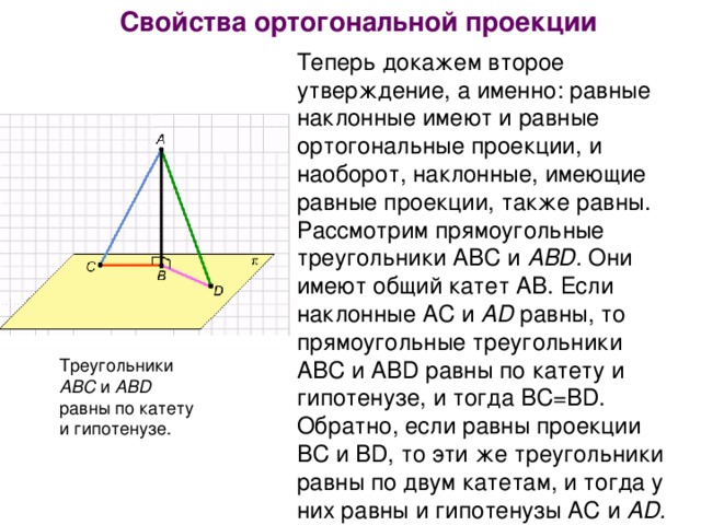 Свойства ортогональной проекции Теперь докажем второе утверждение, а именно: равные наклонные имеют и равные ортогональные проекции, и наоборот, наклонные, имеющие равные проекции, также равны. Рассмотрим прямоугольные треугольники AВС и ABD. Они имеют общий катет AВ. Если наклонные AС и AD равны, то прямоугольные треугольники AВС и AВD равны по катету и гипотенузе, и тогда BC=BD. Обратно, если равны проекции ВС и BD, то эти же треугольники равны по двум катетам, и тогда у них равны и гипотенузы AС и AD. Треугольники ABC и ABD равны по катету и гипотенузе.