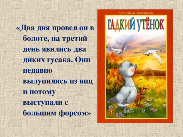 «Два дня провел он в болоте, на третий день явились два диких гусака. Они недавно вылупились из яиц и потому выступали с большим форсом»