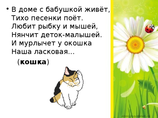 В доме с бабушкой живёт,  Тихо песенки поёт.  Любит рыбку и мышей,   Нянчит деток-малышей.  И мурлычет у окошка  Наша ласковая...