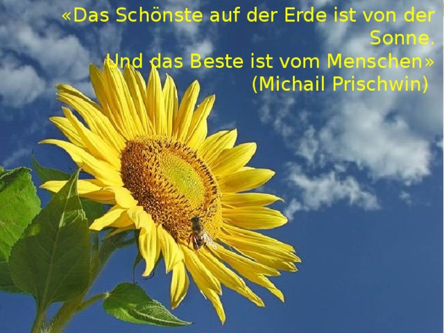 « Das Schönste auf der Erde ist von der Sonne .  Und das Beste ist vom Menschen »  ( Michail Prischwin)