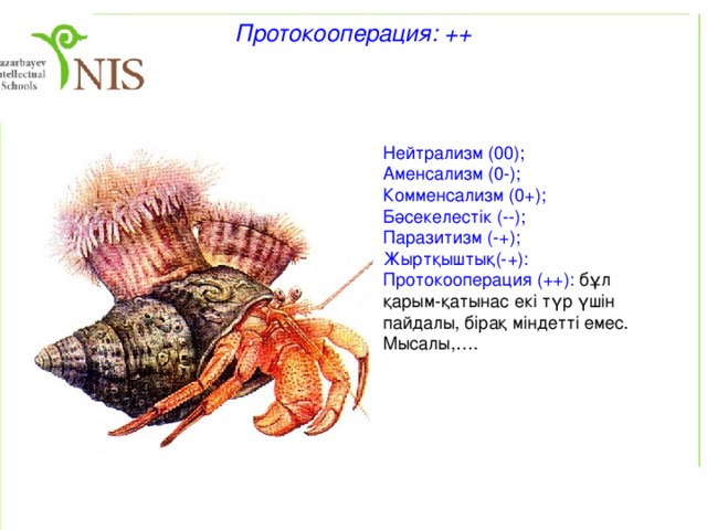 Комменсализм: 0+ Нейтрализм (00); Аменсализм (-0); Комменсализм (0+): комменсал басқа түрден пайда көреді, ал ол түрге ешқандай әсер етпейді. Мысалы, акула мен жабысқақ балықтар, арыстандардан қалған ас қалдықтарымен қоректенетін тазқара, гиеналар.