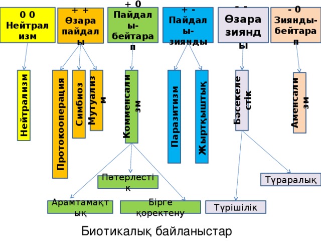 Жыртқыштық: + - Нейтрализм (00); Аменсализм (0-); Комменсализм (0+); Бәсекелестік(--); Паразитизм (-+); Жыртқыштық (-+): жыртқыштар өз жемтіктерімен қоректенеді. Мысалы, …