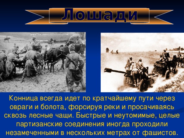 Конница всегда идет по кратчайшему пути через овраги и болота, форсируя реки и просачиваясь сквозь лесные чащи. Быстрые и неутомимые, целые партизанские соединения иногда проходили незамеченными в нескольких метрах от фашистов.