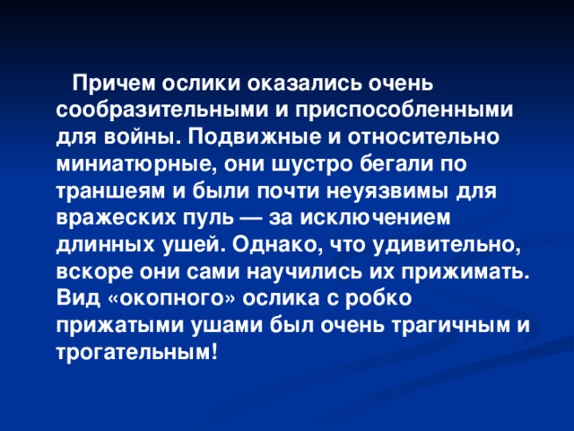 Причем ослики оказались очень сообразительными и приспособленными для войны. Подвижные и относительно миниатюрные, они шустро бегали по траншеям и были почти неуязвимы для вражеских пуль — за исключением длинных ушей. Однако, что удивительно, вскоре они сами научились их прижимать. Вид «окопного» ослика с робко прижатыми ушами был очень трагичным и трогательным!