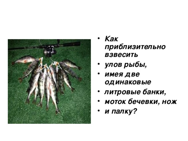 Как  приблизительно взвесить улов рыбы, имея две одинаковые литровые банки, моток бечевки, нож и палку?