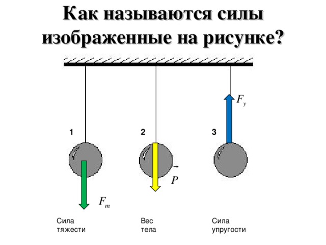 Как называются силы изображенные на рисунке? 1 2 3 Сила тяжести Вес тела Сила упругости