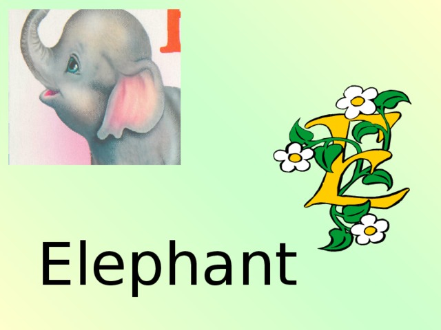 E lephant