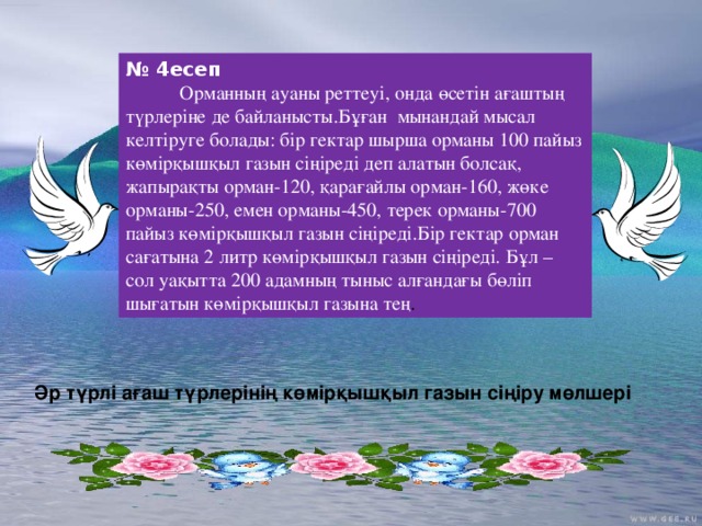 № 4есеп  Орманның ауаны реттеуі, онда өсетін ағаштың түрлеріне де байланысты.Бұған мынандай мысал келтіруге болады: бір гектар шырша орманы 100 пайыз көмірқышқыл газын сіңіреді деп алатын болсақ, жапырақты орман-120, қарағайлы орман-160, жөке орманы-250, емен орманы-450, терек орманы-700 пайыз көмірқышқыл газын сіңіреді.Бір гектар орман сағатына 2 литр көмірқышқыл газын сіңіреді. Бұл – сол уақытта 200 адамның тыныс алғандағы бөліп шығатын көмірқышқыл газына тең . Әр түрлі ағаш түрлерінің көмірқышқыл газын сіңіру мөлшері