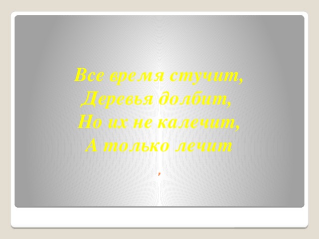 Все время стучит,  Деревья долбит,  Но их не калечит,  А только лечит   ,