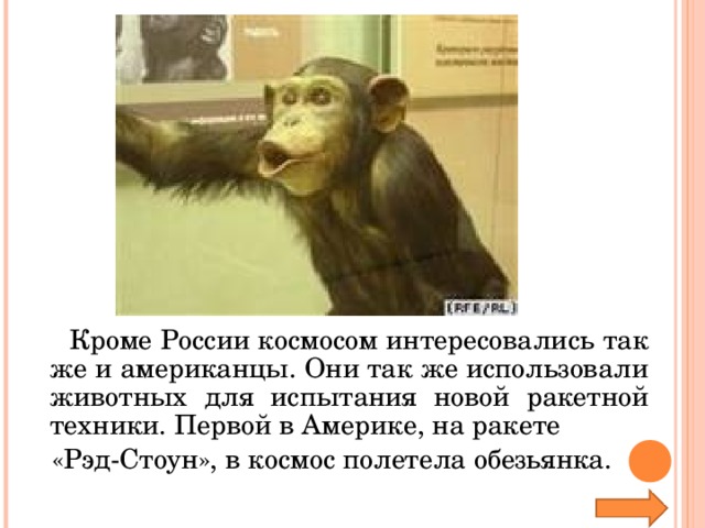 Кроме России космосом интересовались так же и американцы. Они так же использовали животных для испытания новой ракетной техники. Первой в Америке, на ракете  «Рэд-Стоун», в космос полетела обезьянка.