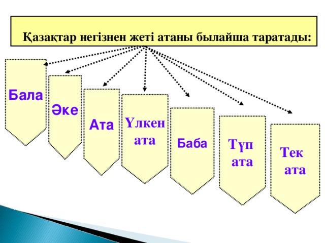   Қазақтар негізнен жеті атаны былайша таратады: Бала Әке Ата Үлкен ата Баба Түп ата Тек ата