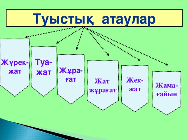 Туыстық атаулар  Жүрек- жат Туа- жат Жұра- ғат  Жат жұрағат Жек- жат Жама- ғайын