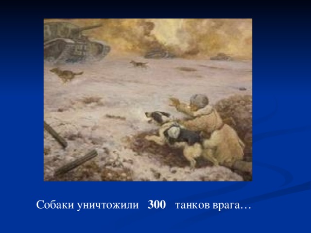 Собаки уничтожили 300 танков врага…