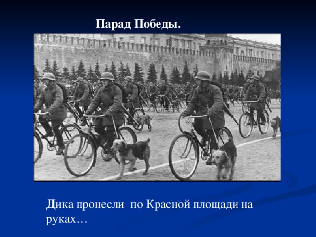 Д ика пронесли по Красной площади на руках…   Парад Победы.