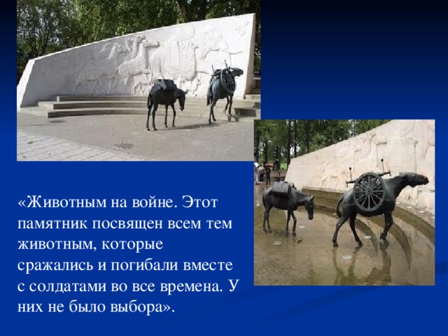 «Животным на войне. Этот памятник посвящен всем тем животным, которые сражались и погибали вместе с солдатами во все времена. У них не было выбора».