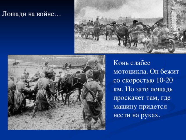 Лошади на войне… Конь слабее мотоцикла. Он бежит со скоростью 10-20 км. Но зато лошадь проскачет там, где машину придется нести на руках.