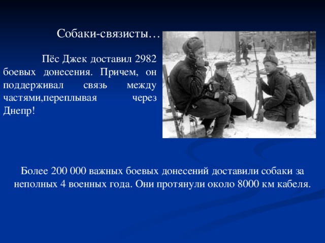 Собаки-связисты…   Пёс Джек доставил 2982 боевых донесения. Причем, он поддерживал связь между частями,переплывая через Днепр! Более 200 000 важных боевых донесений доставили собаки за неполных 4 военных года. Они протянули около 8000 км кабеля.