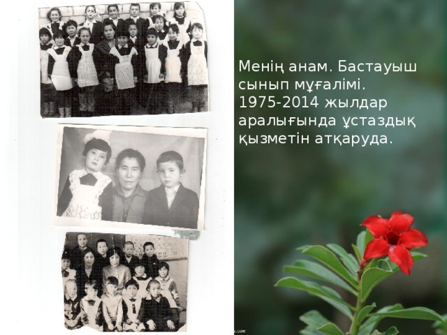 Менің анам. Бастауыш сынып мұғалімі. 1975-2014 жылдар аралығында ұстаздық қызметін атқаруда. Мои бабушка и мама