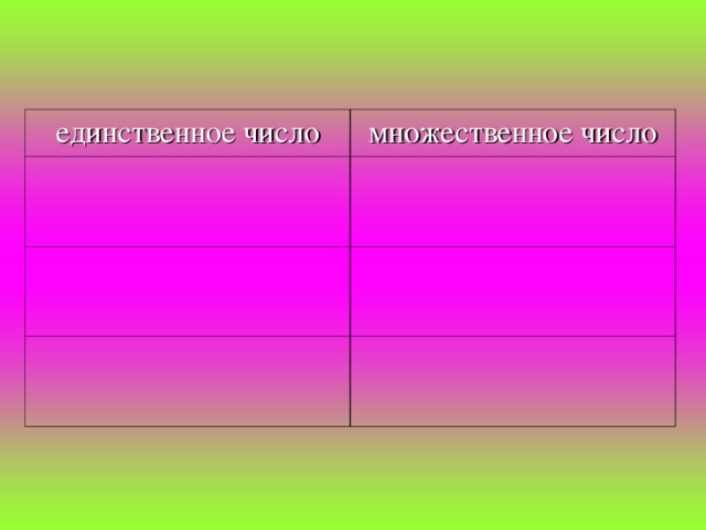 единственное число множественное число