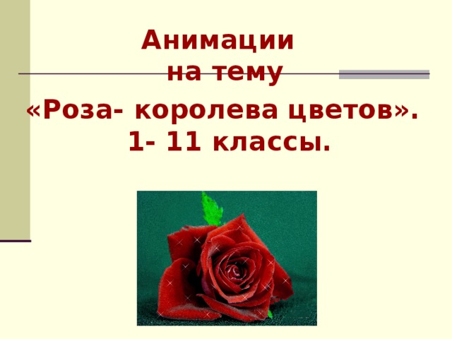 Анимации  на тему «Роза- королева цветов».  1- 11 классы.