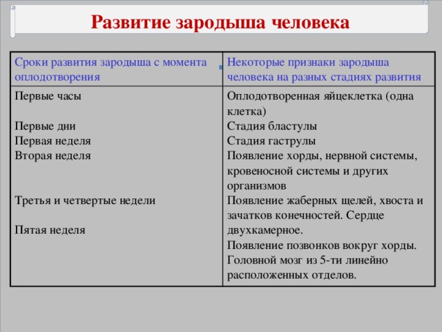 Развитие зародыша человека . Сроки развития зародыша с момента оплодотворения Некоторые признаки зародыша человека на разных стадиях развития Первые часы Оплодотворенная яйцеклетка (одна клетка) Первые дни Стадия бластулы Первая неделя Стадия гаструлы Вторая неделя Появление хорды, нервной системы, кровеносной системы и других организмов Появление жаберных щелей, хвоста и зачатков конечностей. Сердце двухкамерное. Появление позвонков вокруг хорды. Головной мозг из 5-ти линейно расположенных отделов. Третья и четвертые недели Пятая неделя