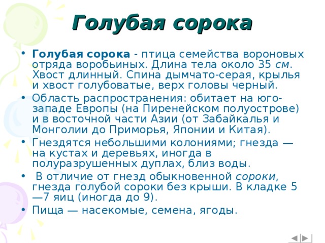 Голубая сорока