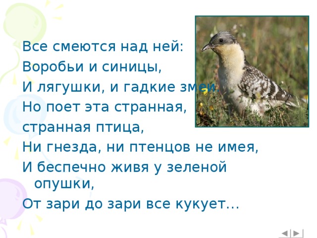 Все смеются над ней: Воробьи и синицы, И лягушки, и гадкие змеи. Но поет эта странная, странная птица, Ни гнезда, ни птенцов не имея, И беспечно живя у зеленой опушки, От зари до зари все кукует…