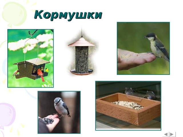 Кормушки